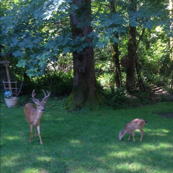 Meet your Posher, Daidre - Picture 10 of 15